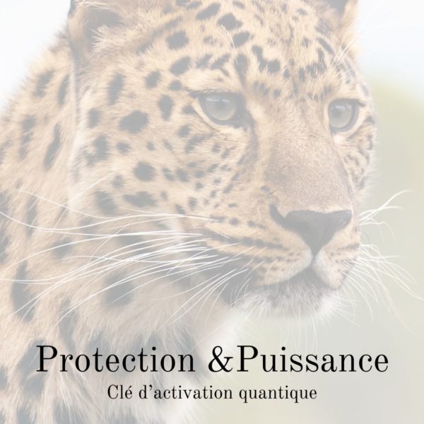 PROTECTION & PUISSANCE - Clé d'activation quantique